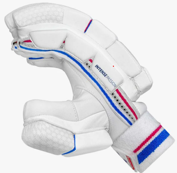 DSC INTENSE PASSION Batting Gloves