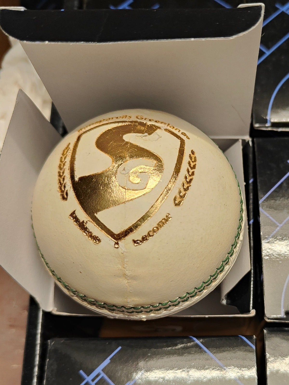 SG Club Leather Ball