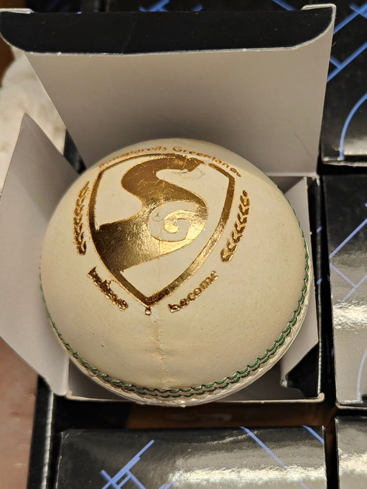 SG Club Leather Ball